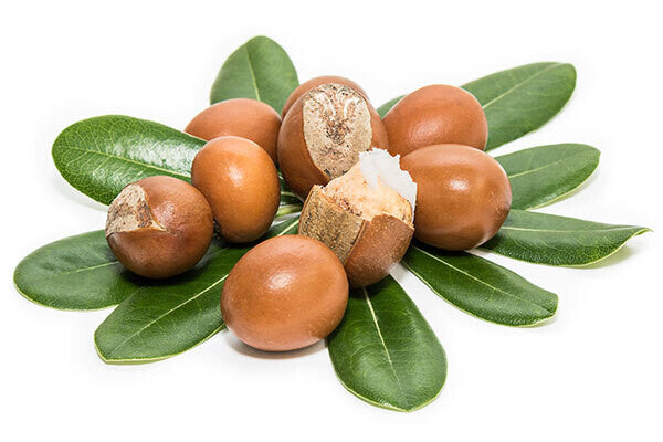 Raw Shea Butter 100% Pure - Yellow