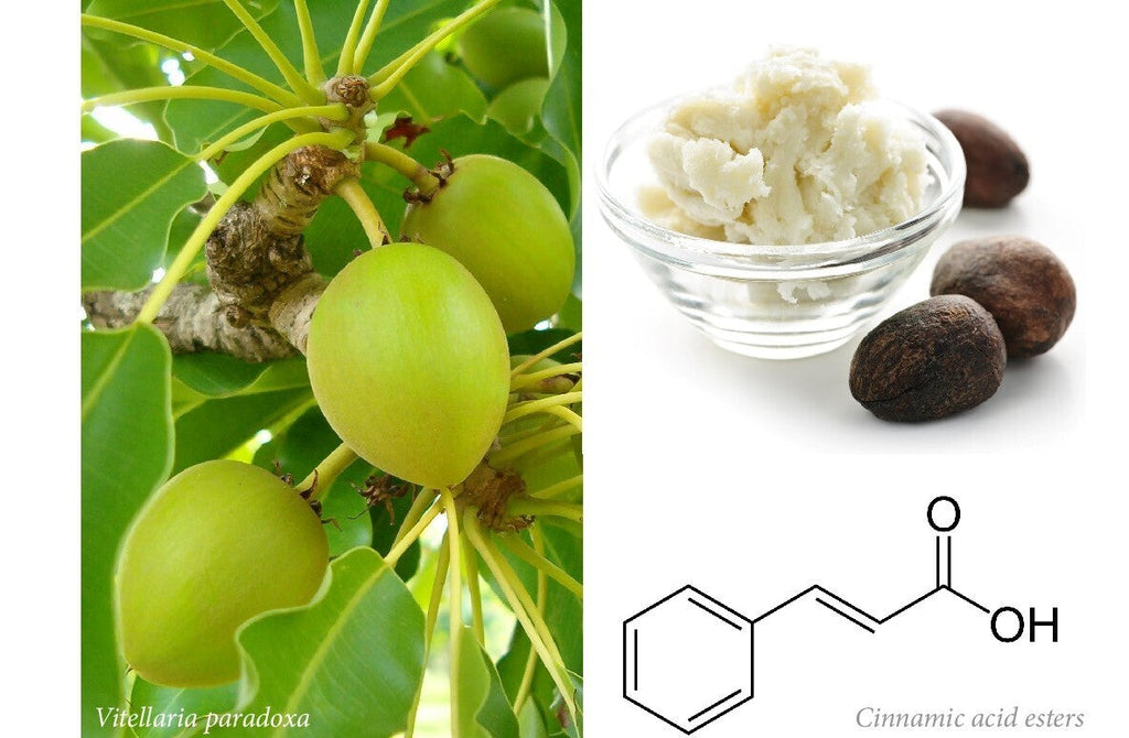 Raw Shea Butter 100% Pure - Yellow