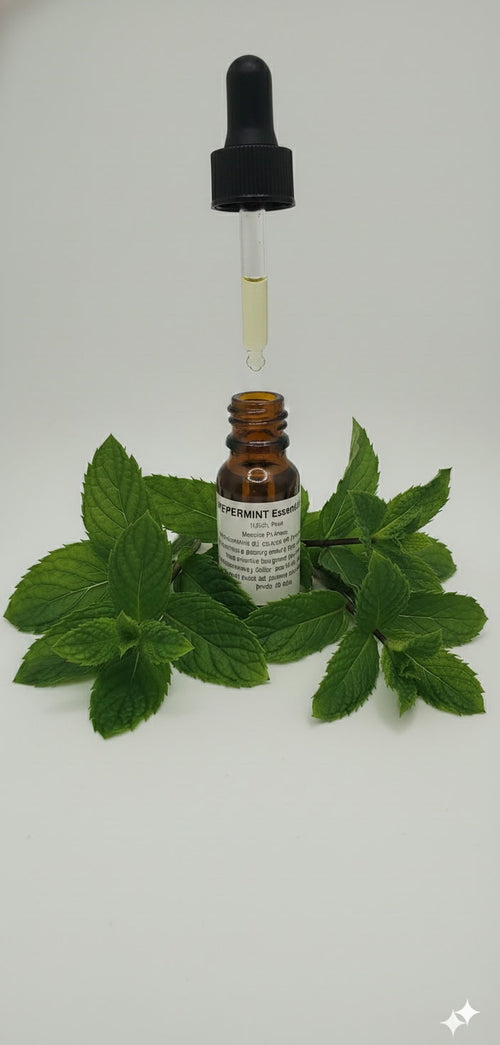 Peppermint Essential Oil (Mentha piperita)